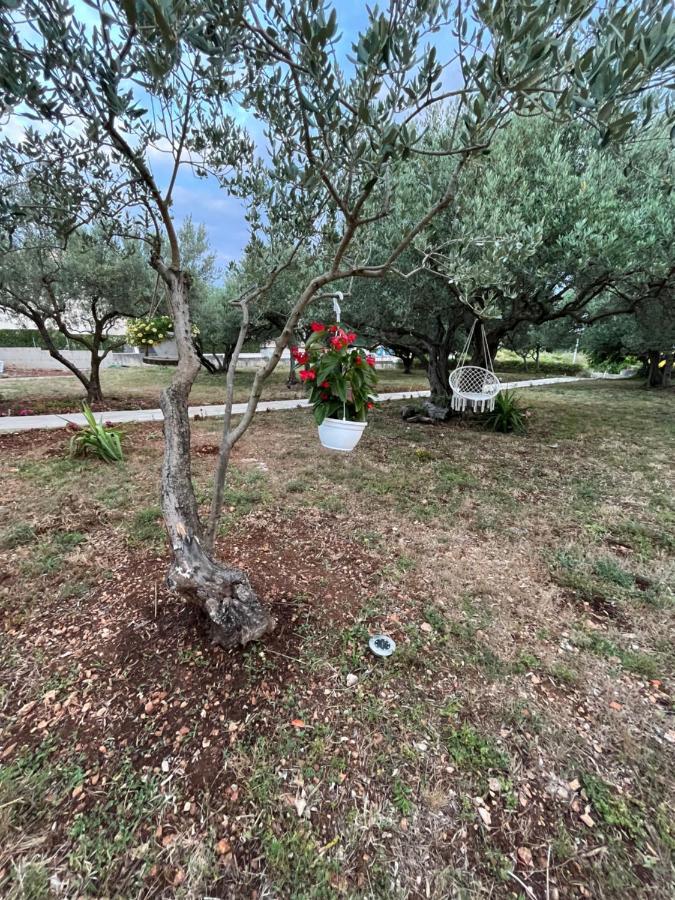 זאדאר Apartman Oliva מראה חיצוני תמונה