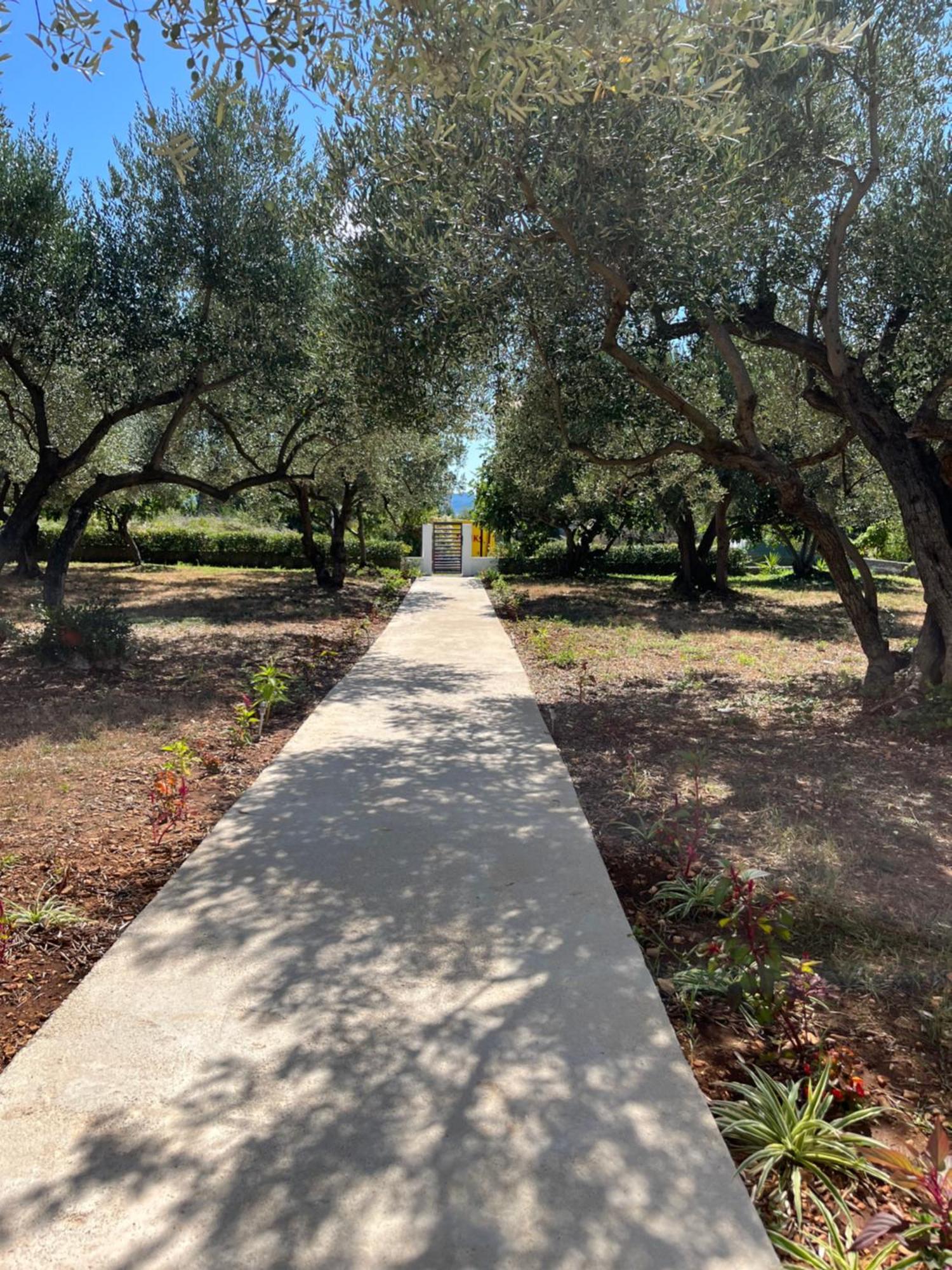 זאדאר Apartman Oliva מראה חיצוני תמונה